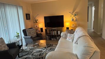 Smart-TV, Kamin