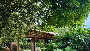 Un espace extérieur aménagé avec une zone de repos couverte, agrémentée d’une pergola en bois, entourée d’une végétation luxuriante et bordée d’un chemin de gravier.