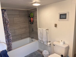 Secador de pelo, toallas, jabón y champú