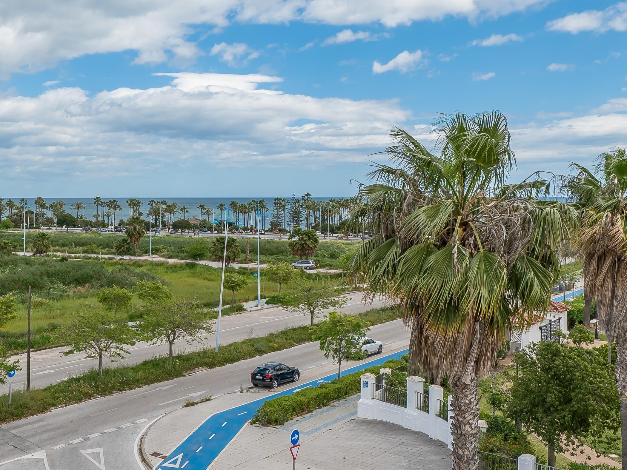 A coastal road with a blue bike lane, palm trees, and a clear view of the sea.