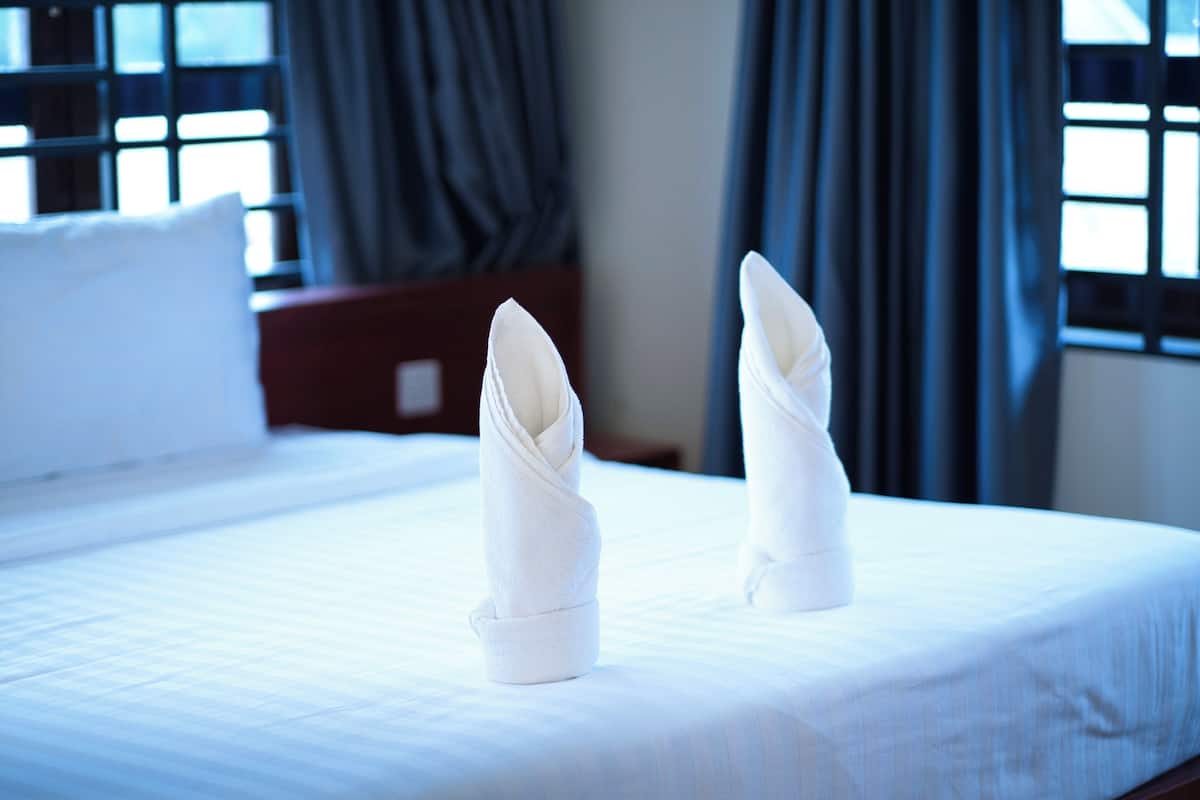 Deluxe Single Room, 1 King Bed, City View | Desk, laptop workspace, free WiFi