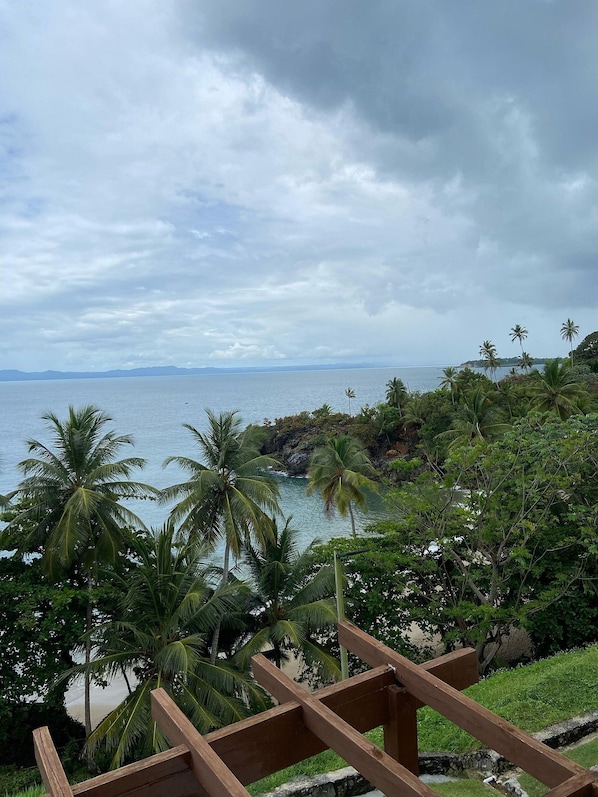 A coastal view with palm trees and a wooden structure.