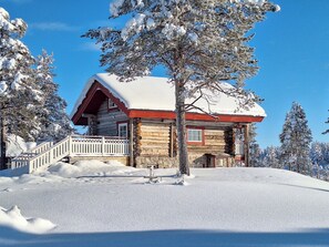 Eksteriør