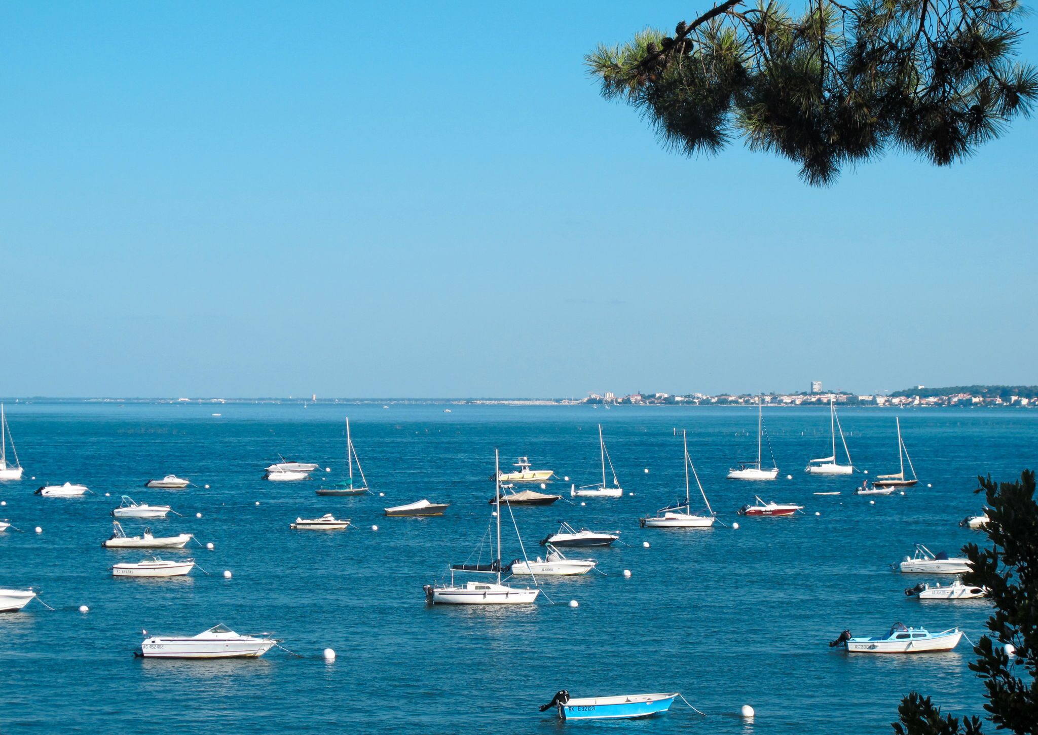 Un port de plaisance où sont amarrés différents types de bateaux.