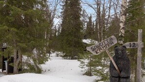Uklassifisert bilde, 4 av 21, knapp