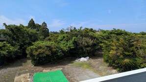 A view of a lush garden with dense foliage and a green tarp-covered area.