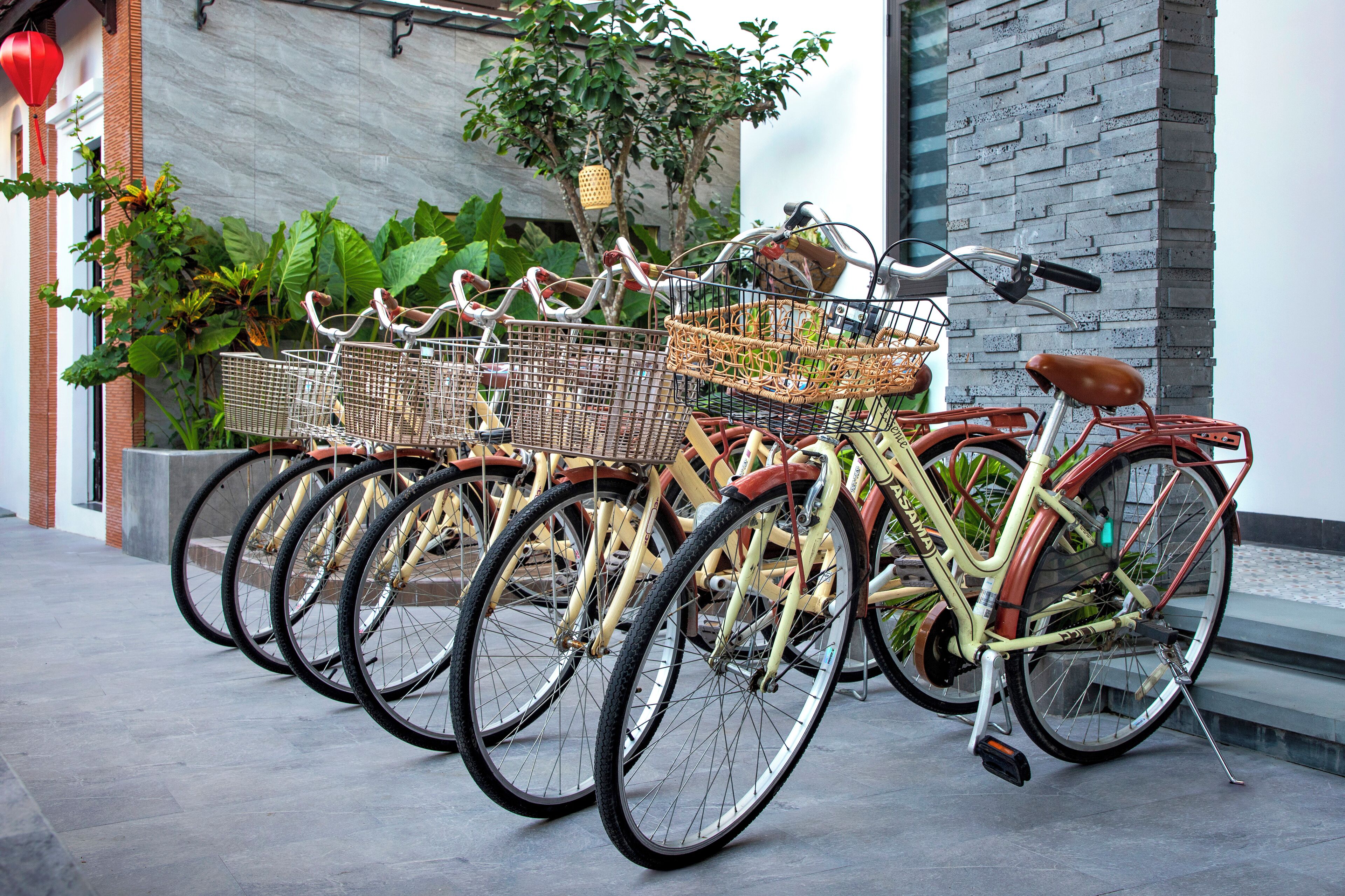 Photo - T & D Maison Hoi An