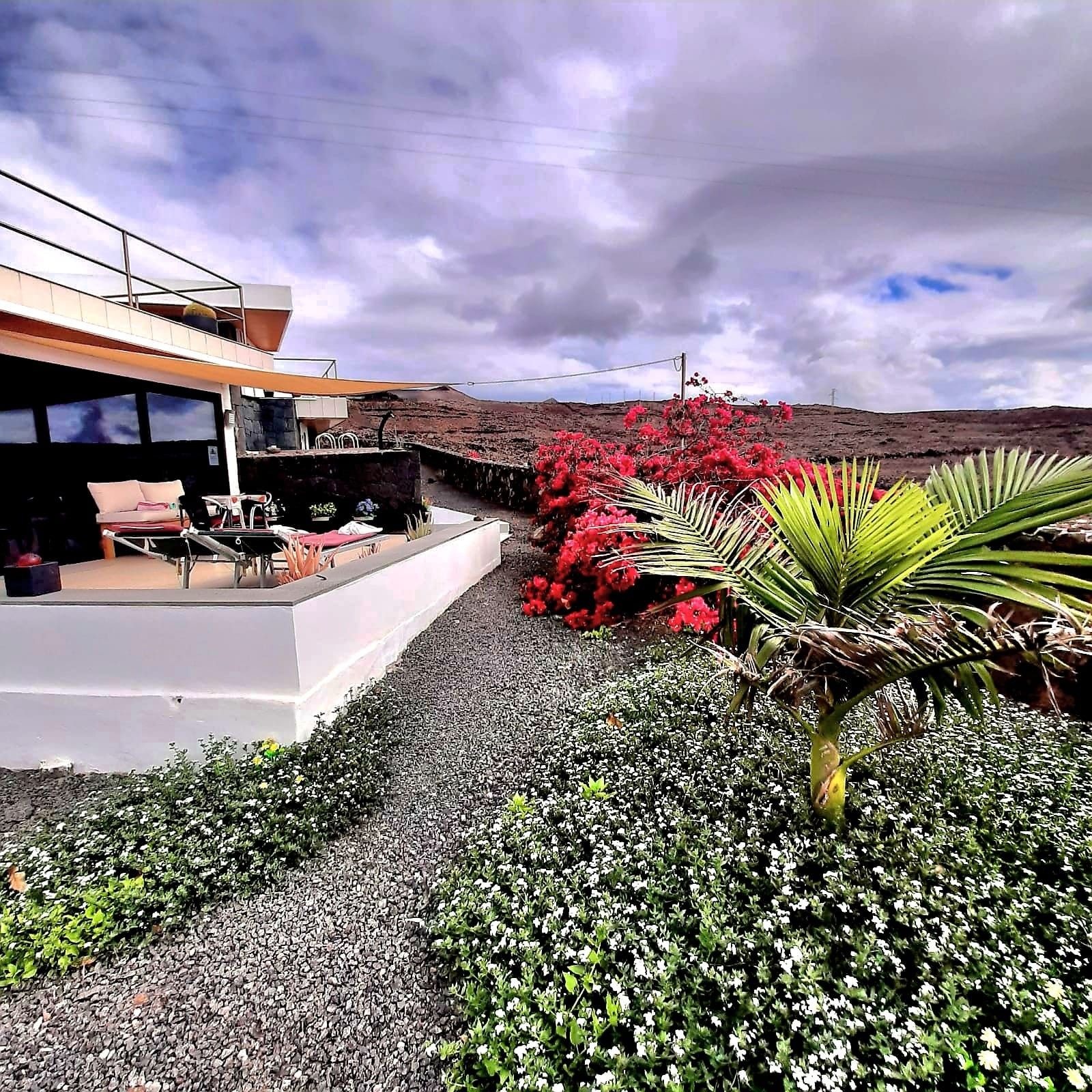 Et moderne hus med terrasse, røde blomster og en grussti.