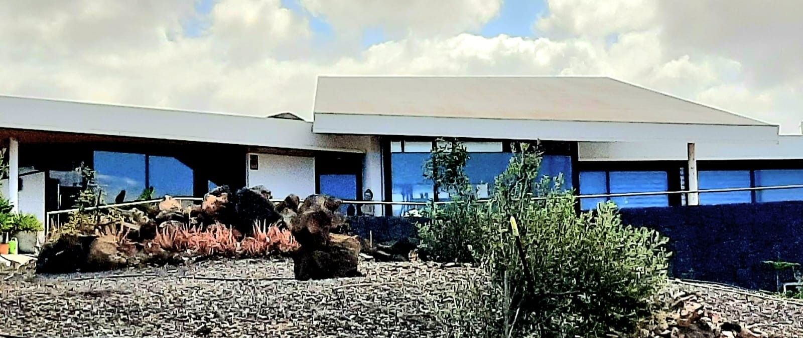 A modern building with large windows, a landscaped area with rocks and plants, and a clear sky.
