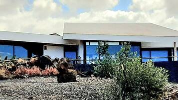A modern building with large windows, a landscaped area with rocks and plants, and a clear sky.