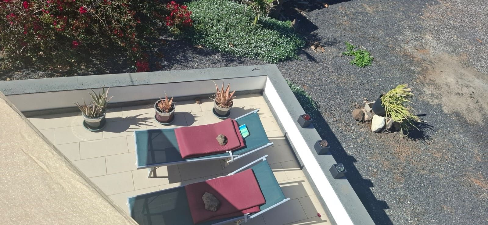 Une terrasse sur le toit, aménagée avec des chaises longues, des plantes en pot et une piscine.