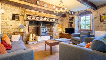 TV, fireplace