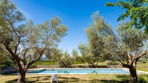 Una piscina rodeada de árboles en un área con césped.