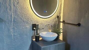 Shower, towels, toilet paper