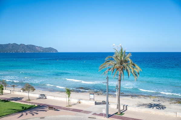 A beach with a palm tree, a bench, and a clear blue sky.