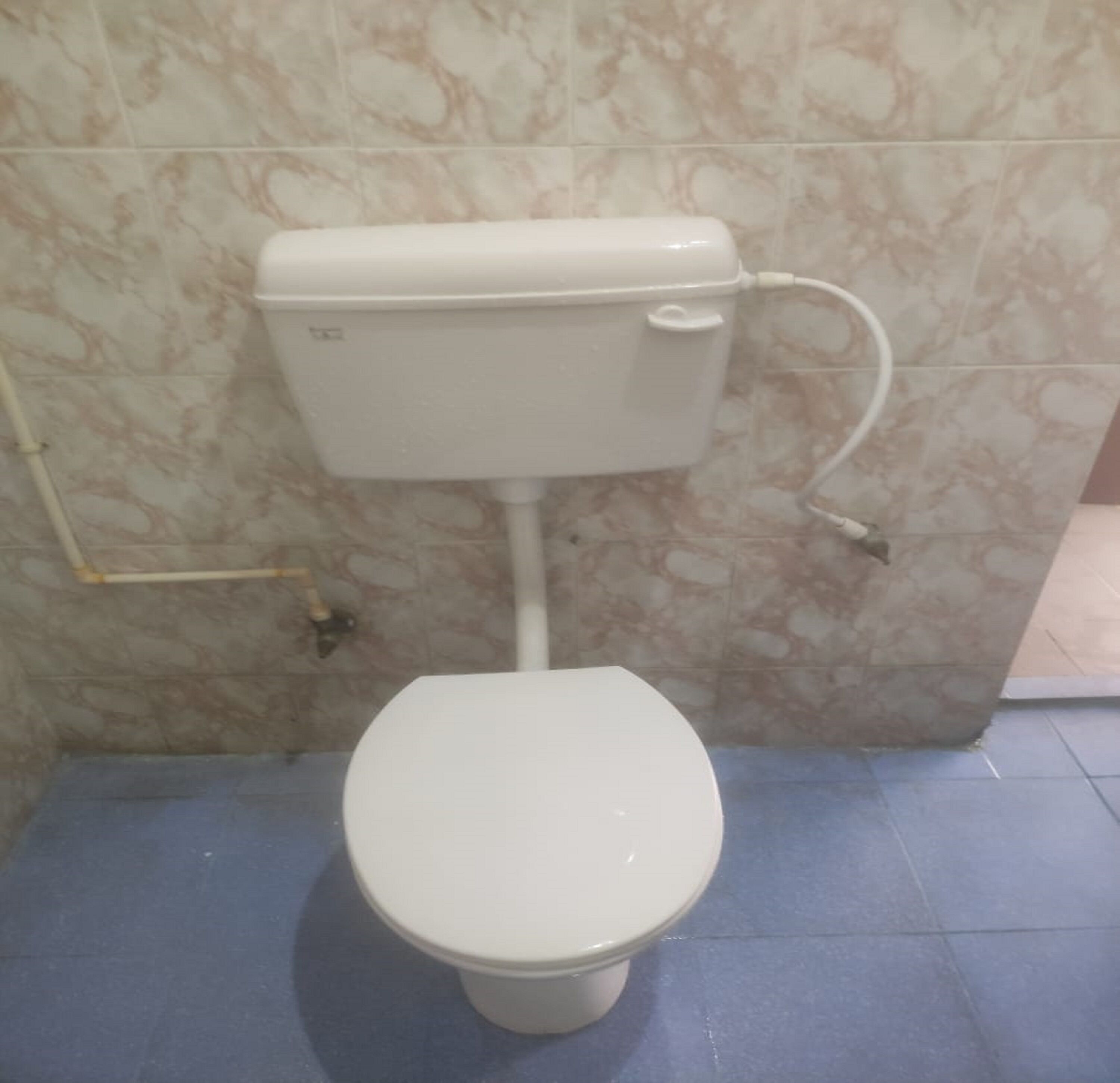 En toalett med en vit cistern och sits, placerad framför en vägg med marmorliknande mönster, och med ett blått golv.