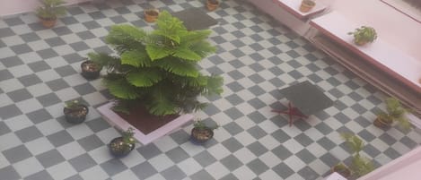 Un suelo a cuadros con plantas en macetas dispuestas en una zona central y a lo largo de las paredes.
