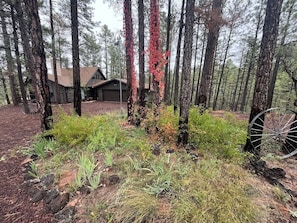 Overnattingsstedets uteområder