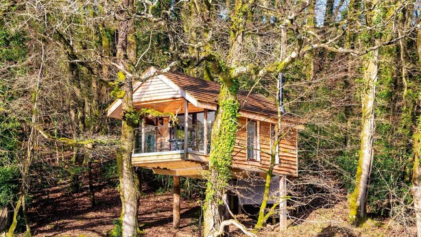 A wooden cabin with a glass enclosure, surrounded by trees and forest. - Treehouse in Germansweek near Dartmoor Trails (Germansweek)