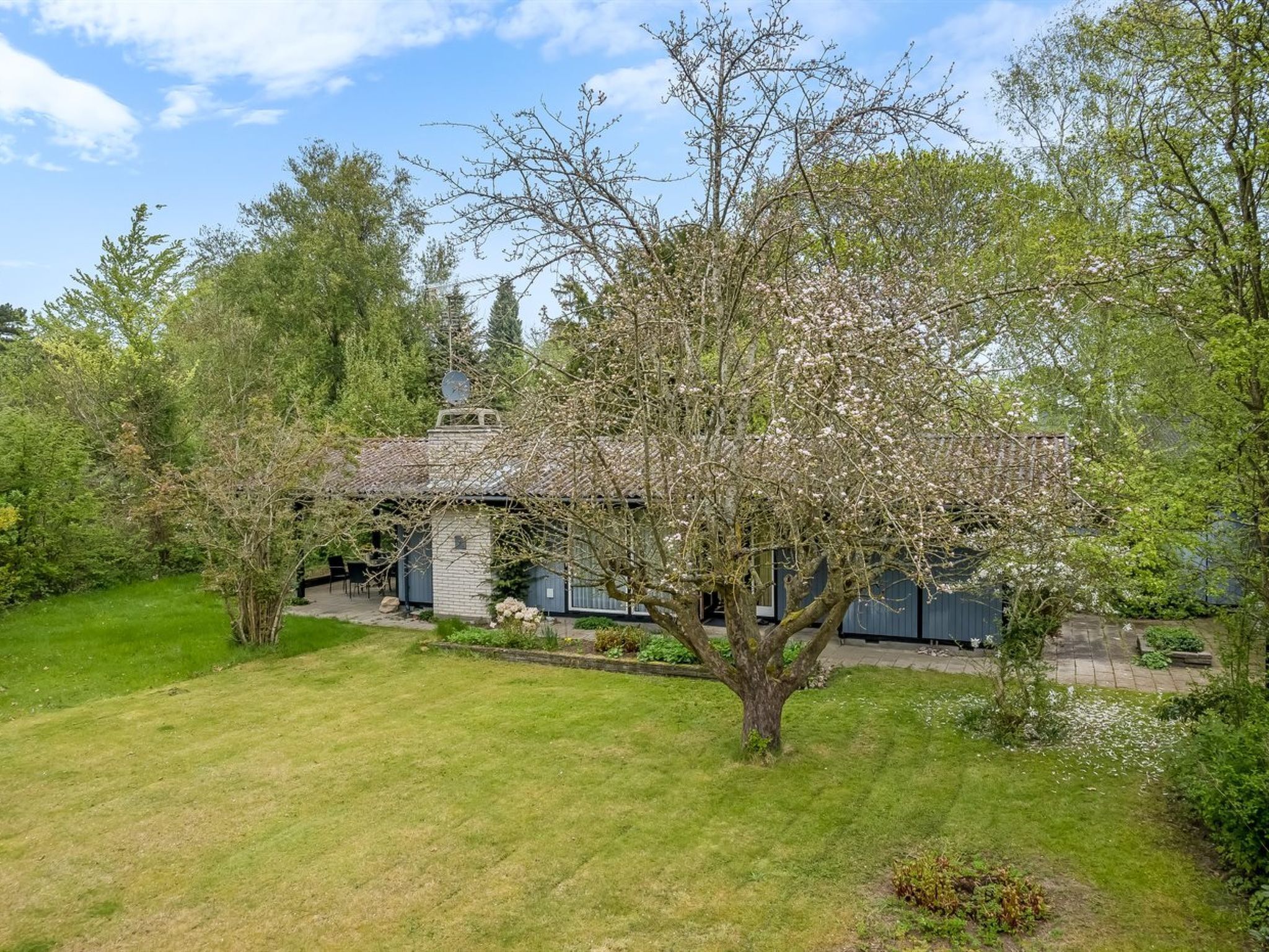 A house with a garden, a lawn, and a tree in front.