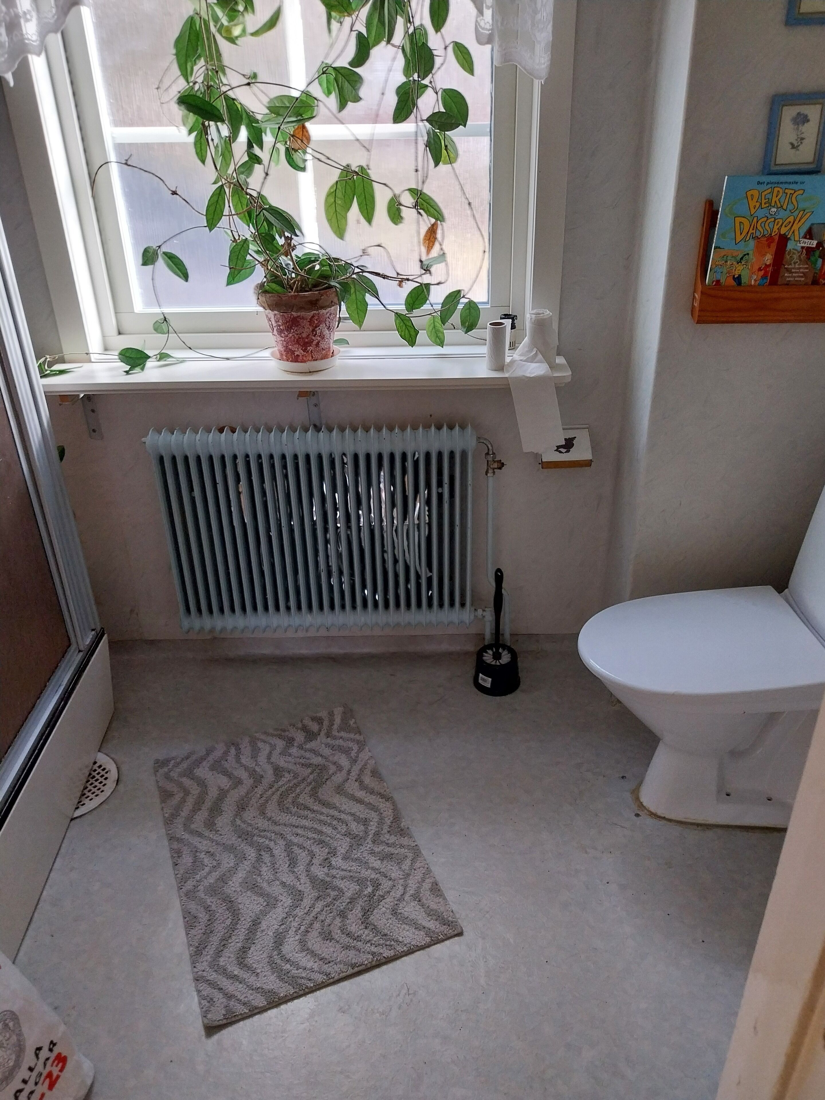 A bathroom with a radiator, a toilet, a potted plant, and a window.