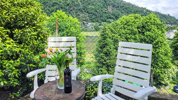 A table with a bottle and a glass, surrounded by white chairs, overlooking a lush green landscape with a mountain in the background. - Appartment sulle Viti by Interhome (Losone)