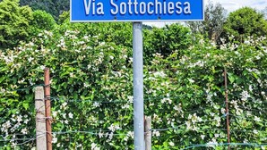 A blue street sign reading "Via Sottocchia" against a backdrop of lush greenery and a clear sky. - Appartment sulle Viti by Interhome (Losone)