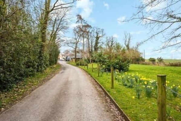 Property grounds - Double Room • Bath Only • Free Wi-Fi • TV • Mold (Mold)