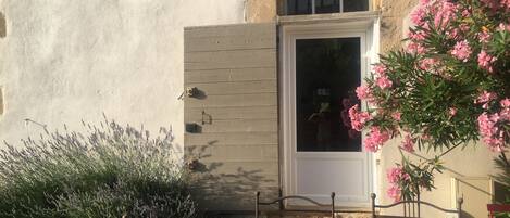 تفاصيل الفندق من الخارج