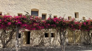 Un bâtiment doté d’une façade à motifs, de nombreuses fenêtres et d’un sol pavé.