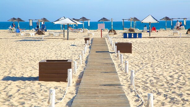 Une promenade en bois mène à des parasols de plage et à des chaises longues sur une plage de sable.