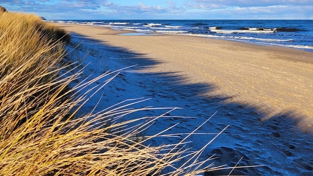 Una playa de arena y césped que se extiende hacia el océano.