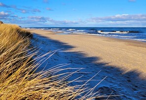 Uma praia com areia e grama, que se estende até o oceano.