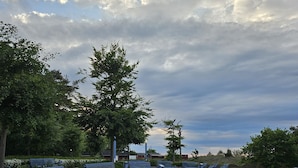Un parque con bancos, árboles y un cielo nublado.