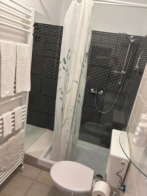 Shower, hair dryer, bidet, towels