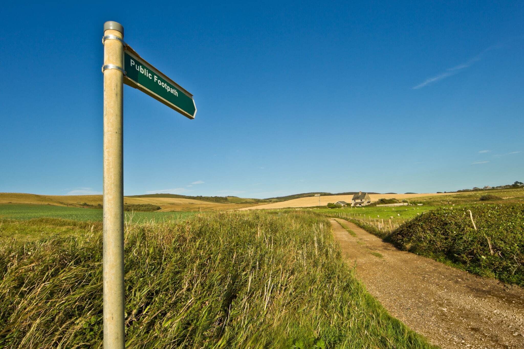 A rural landscape with a dirt path leading to a house in the distance.