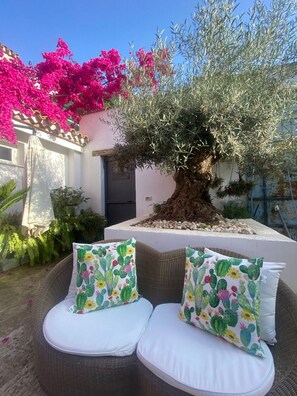 Terraza o patio