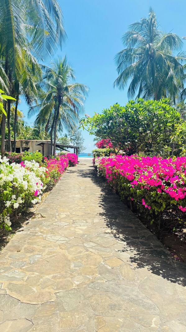 Property grounds - Welcome to our modern and cozy one-bedroom apartment right on the coastal beach! (Kilifi)