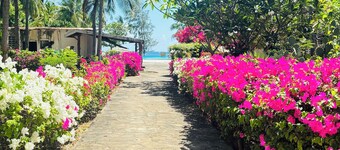 Welcome to our modern and cozy one-bedroom apartment right on the coastal beach!