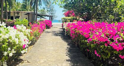 Welcome to our modern and cozy one-bedroom apartment right on the coastal beach!