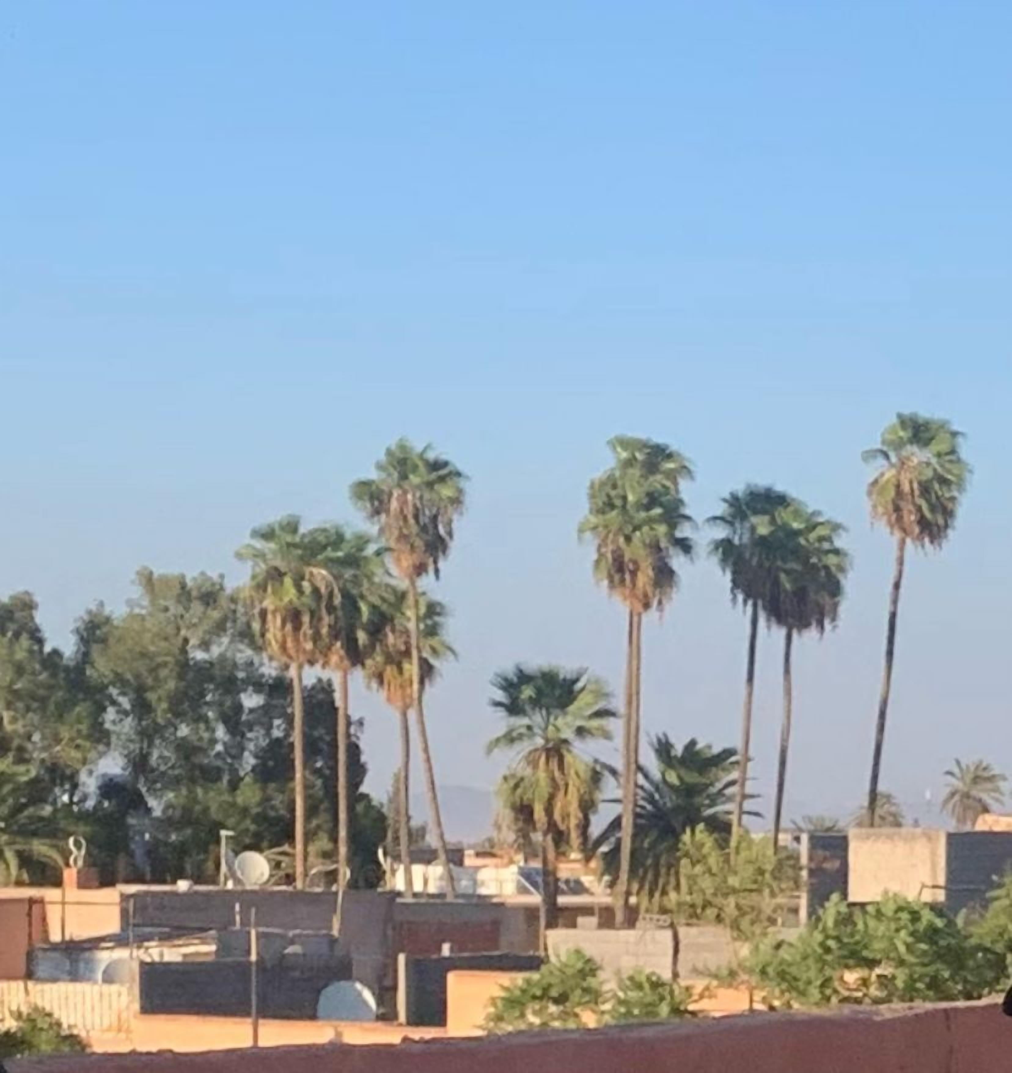 Photo - Riad Le Soleil de Bahia