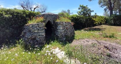 CASINA DEL TRULLO