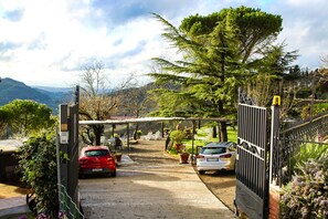 Hill Station, Polo, Carro Familiar, Entrada De Coches, Estacionamiento, Camino