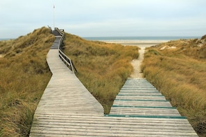 Playa