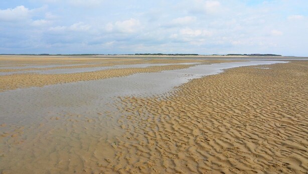 Une vaste plage de sable fin, avec des vagues douces et un ciel dégagé.