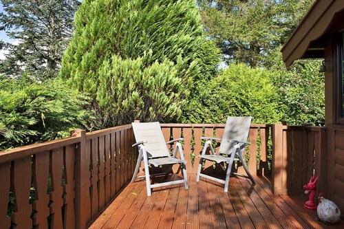 Log Cabin in Snowdonia near Rhinog Mountains