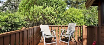 Log Cabin in Snowdonia near Rhinog Mountains