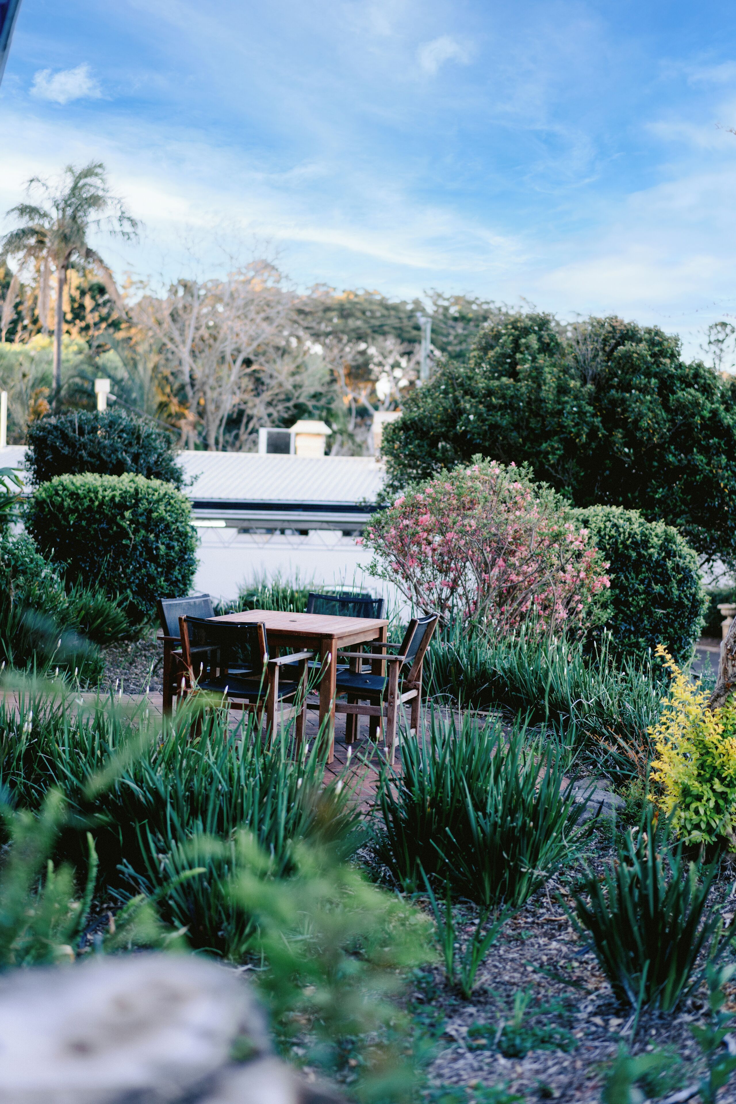 A patio with a wooden table and chairs, surrounded by lush greenery and a variety of plants.