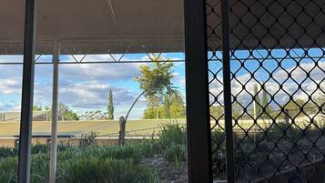 Une vue à travers une fenêtre ornée d’une grille métallique, donnant sur un jardin où poussent différentes plantes, avec un ciel dégagé.