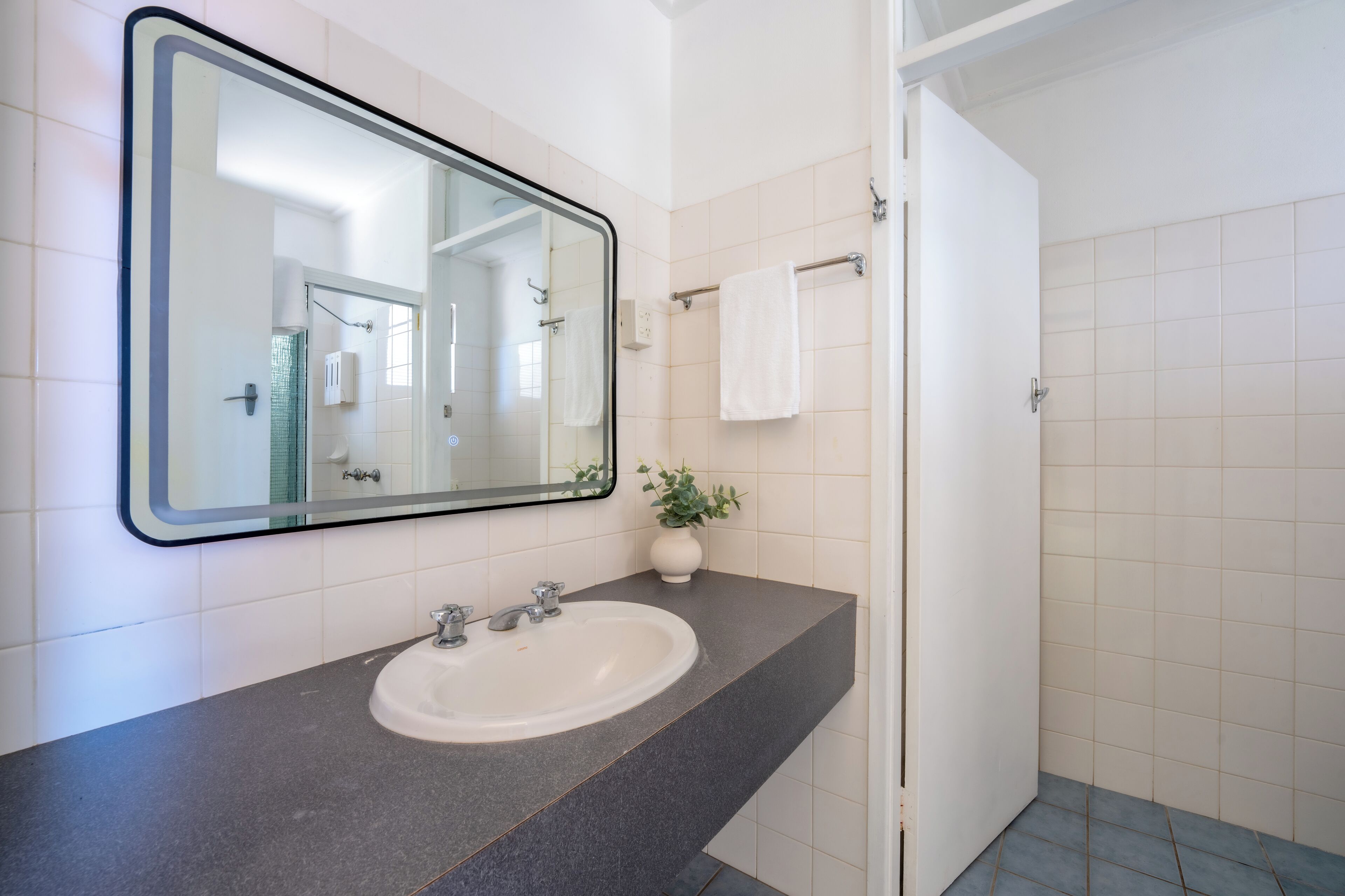 A bathroom with a white sink, a mirror, and a potted plant.
